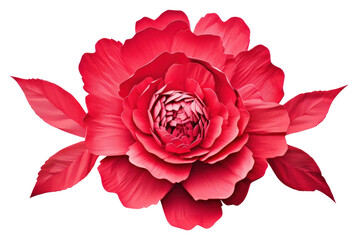 PNG  Peony border flower dahlia petal.