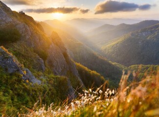 Mountain valley during sunrise. Natural summer landscape in Slovakia - obrazy, fototapety, plakaty