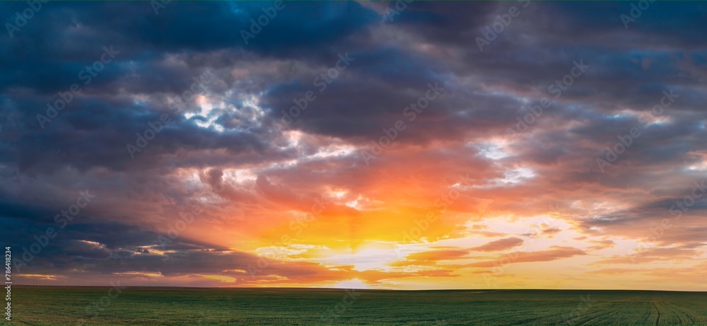 Wall mural spring sunset sky above countryside rural meadow landscape. wheat field under sunny spring sky. skyl