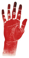PNG Hand finger glove art. - obrazy, fototapety, plakaty