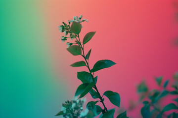 Vibrant Gradient Backdrop with Silhouetted Flowering Plant