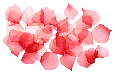 PNG Rose petals backgrounds plant red.