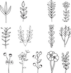 pattern with flowers