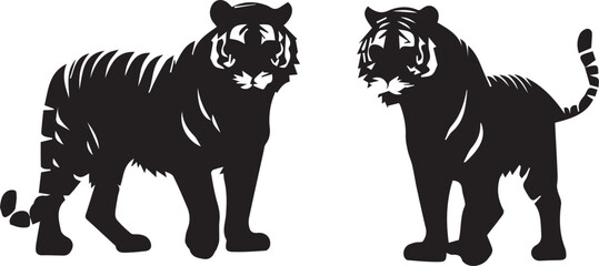 black and white tiger 