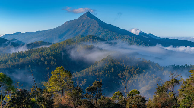 Nature background of landscape of towering mountains , Morning in the evergreen forest, light blue sky and fog covers. 