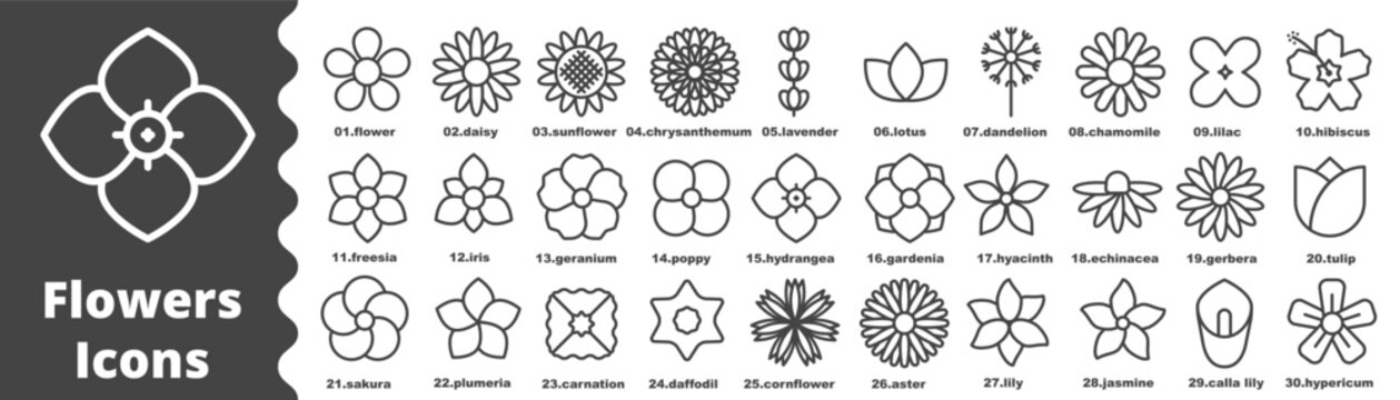 Flowers line icons set vector illustration, sakura, gardenia, lavender, lotus, freesia,
