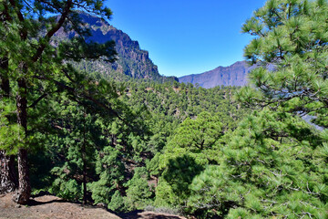 La Palma, Canary Islands - march 15 2024 :  La Caldera de Taburiente - 786432445