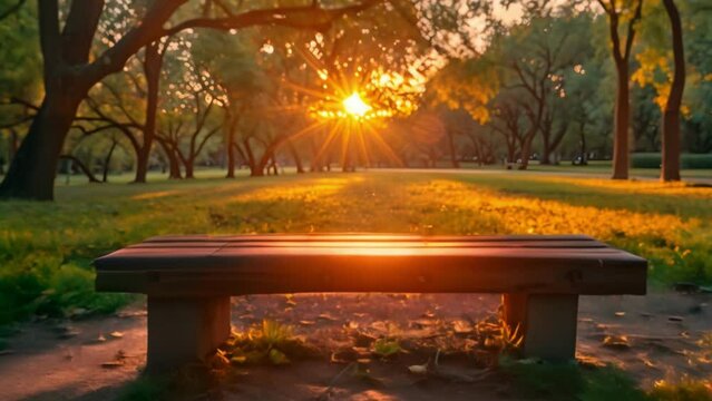 beautiful park in the city from afar. light beautiful 4k video background