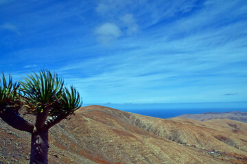 Fuerteventura, Canary Islands - march 15 2024 : the picturesque island - 786435242
