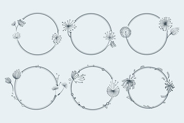 Dandelions and Beautiful Frames. Beautiful  frames for design