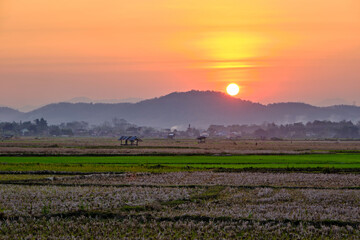 colorful vivid sunset sky from the viewpoint of the roadside of a cropped rice field with orange round sun at the top of the mountain in the background