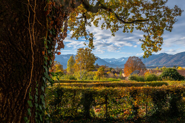 View from the town Murnau to the alps - 786438894
