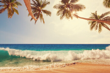 Naklejka premium Tropical beach