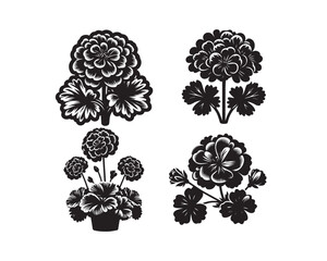 geranium flowers silhouette vector icon graphic logo design