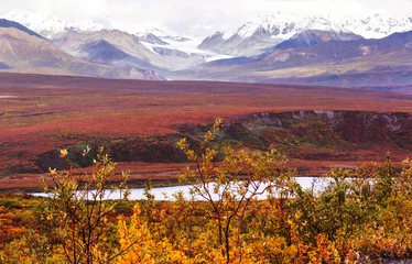 Rolgordijnen Autumn in polar tundra © Galyna Andrushko