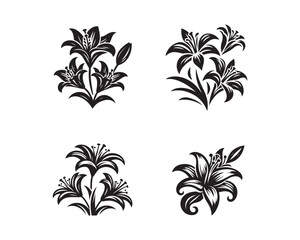 Fototapeta na wymiar lily flowers silhouette vector icon graphic logo design