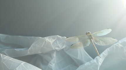 Captivating Ethereal Dragonfly Floating in Mesmerizing Light and Airy Atmosphere