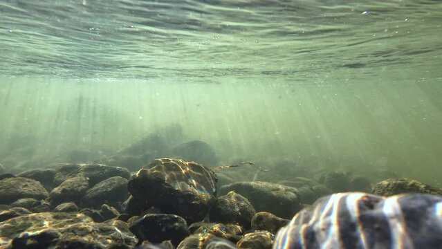 Unterwasservideo von einem Bach mit Steinen und Sonnenstrahlen im fließenden Wasser
