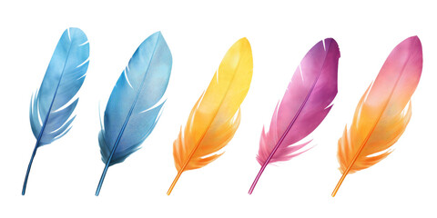 Collection of colorful feathers on a transparent background