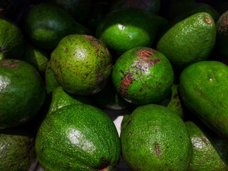 Close up of green avocados fruits aka alligator pear for sale in supermarket rack.