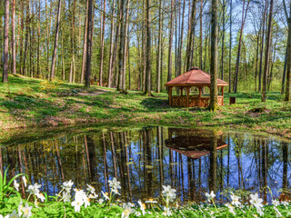 Wiosna w arboretum w Kudypach.