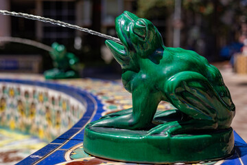 fountain frog