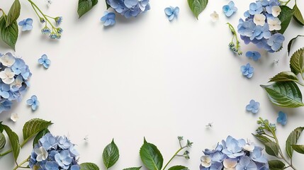 A frame of blue and white hydrangeas on a white background