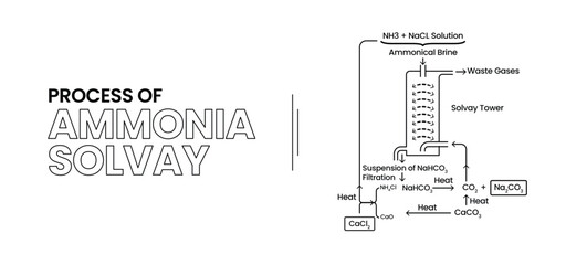 Process of Ammonia Solvay