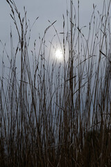 Blurred image of a cloudy sunset in a meadow.