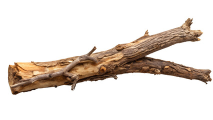 Rustic Dry Tree Branch, isolated on transparent background 