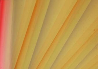 wings detail yellow background abstract