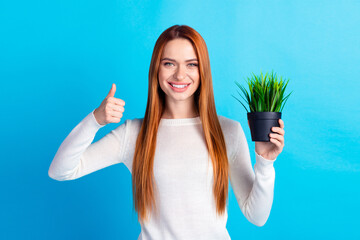 Photo portrait of attractive young woman hold care flower plant thumb up dressed stylish white clothes isolated on blue color background
