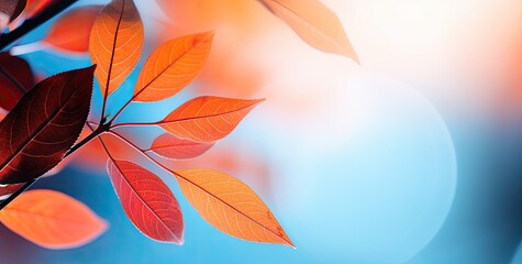 Vibrant orange-red autumn leaves background. - obrazy, fototapety, plakaty
