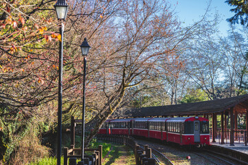 taiwan.chiayi​ 13.2.2023  Diesel-powered train at Zhushan Train Station on Alishan Mountain, Taiwan, in the morning after watching the sunrise.