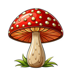 Cartoon Amanita muscaria (fly agaric) mushroom icon. Wild forest mushrooms in autumn, isolated vector illustration