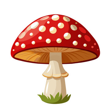 Cartoon Amanita muscaria (fly agaric) mushroom icon. Wild forest mushrooms in autumn