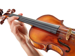 Violin Playing Hand