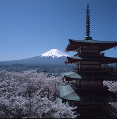 春の富士山