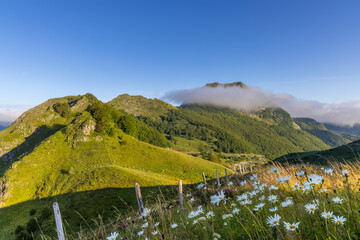 Landscape near Col d'Agnes, Department of Ariege, Pyrenees, France - 786485818