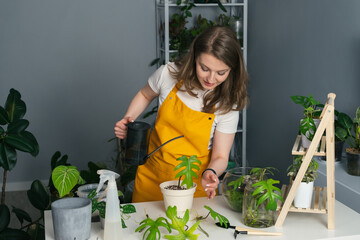 Young woman in yellow apron transplanting a flower from a pot to new soil at home. Concept of love for indoor plants, jungle at home.