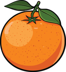 Icon orange fruits vector