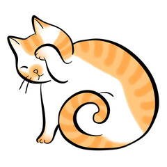 cute orange cat