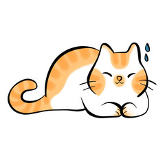 Fototapeta premium cute orange cat
