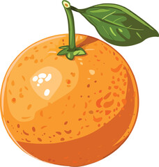 Icon orange fruits vector