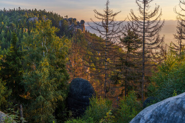 Landscape in a nature reserve Broumovske steny, eastern Bohemia, Czech Republic - 786488631