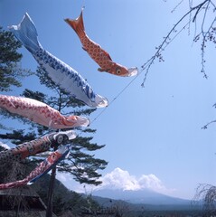 富士山と鯉のぼり