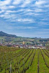Fototapeta na wymiar Vineyards with Arbois town, Department Jura, Franche-Comte, France