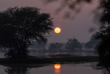 A beautiful sunset in the wetlands of keoladeo national park, Bharatpur in Rajasthan, India.