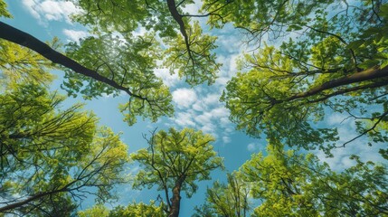Fototapeta premium Low angle view of trees canopy in forest green leaves. Generate AI image