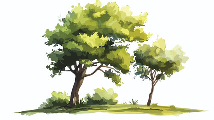Tree watercolor style vector illustration of graphics